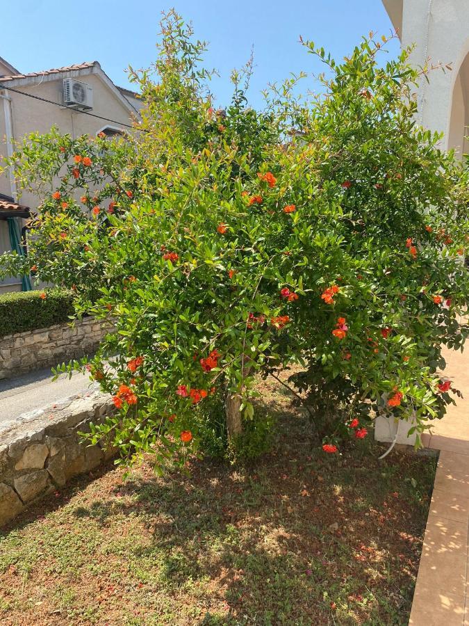 Apartmani Ana Borovac Funtana Buitenkant foto